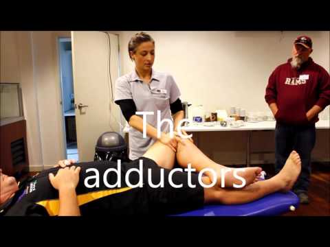 How to do a sports massage; A trainers workshop by myPhysioSA