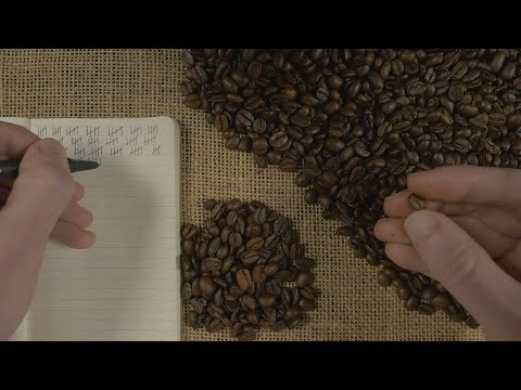 The Bean Counter | ASMR