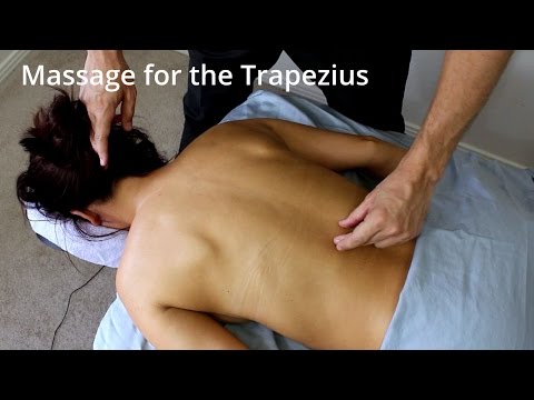 Massage Tutorial: the Trapezius (deep tissue, anatomy review)